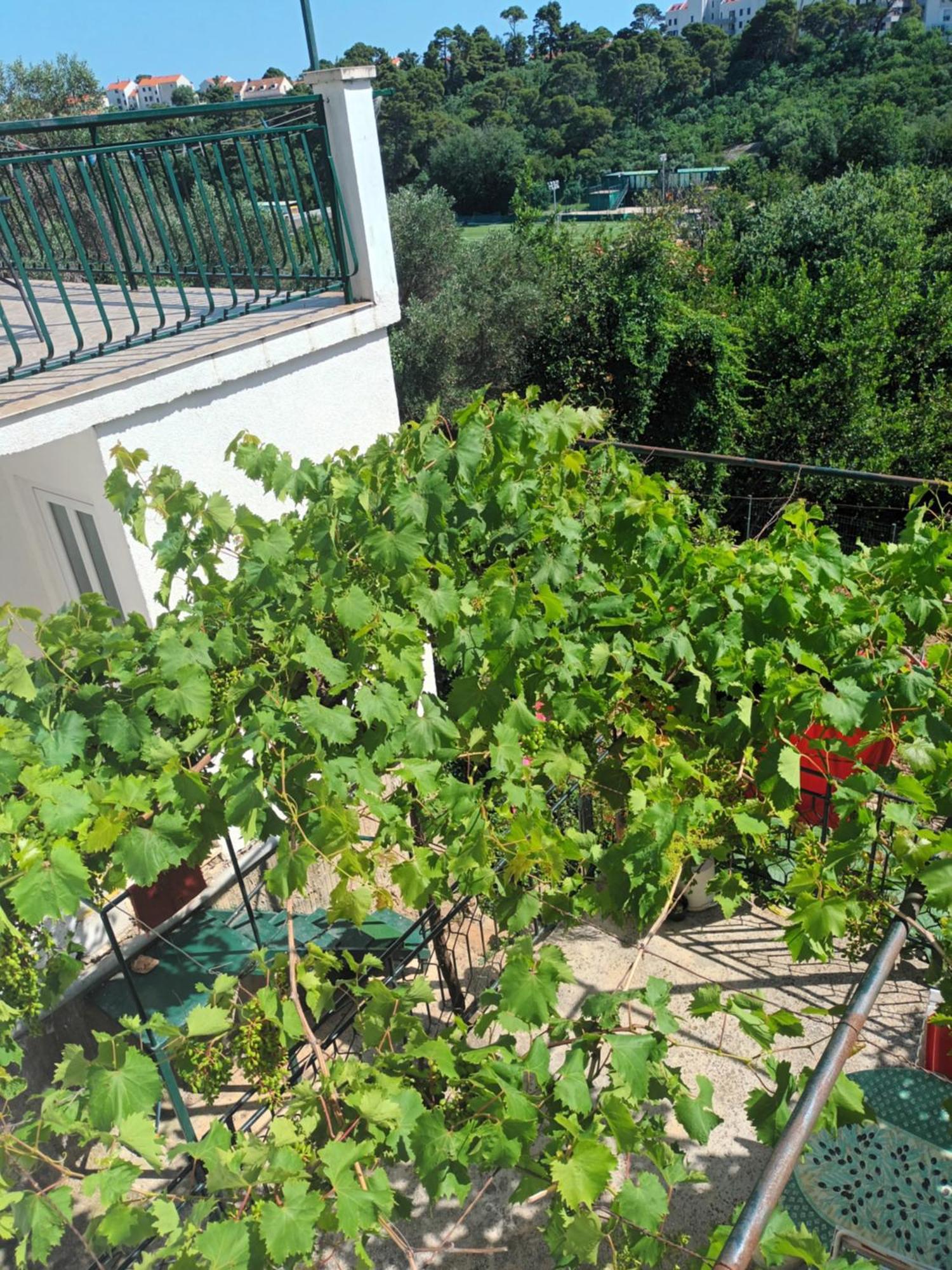 Apartment Jo Dubrovnik Luaran gambar